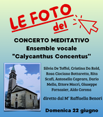 FOTO___Calycanthus.png